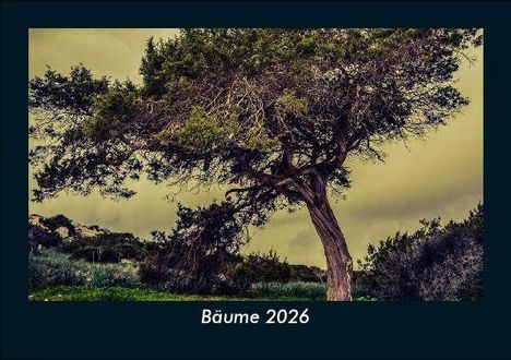 Tobias Becker: Bäume 2026 Fotokalender DIN A5, Kalender