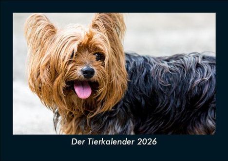 Tobias Becker: Der Tierkalender 2026 Fotokalender DIN A5, Kalender