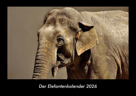 Tobias Becker: Der Elefantenkalender 2026 Fotokalender DIN A3, Kalender