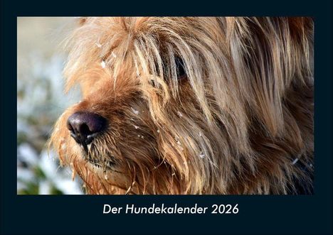 Tobias Becker: Der Hundekalender 2026 Fotokalender DIN A4, Kalender