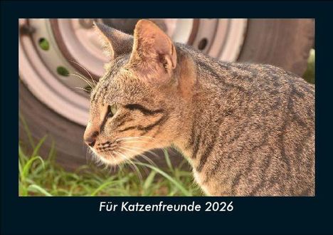 Tobias Becker: Für Katzenfreunde 2026 Fotokalender DIN A5, Kalender