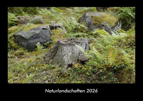 Tobias Becker: Naturlandschaften 2026 Fotokalender DIN A3, Kalender
