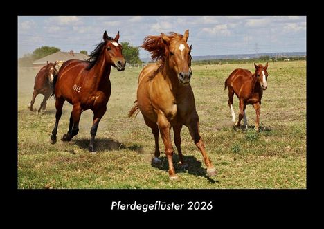 Tobias Becker: Pferdegeflüster 2026 Fotokalender DIN A3, Kalender