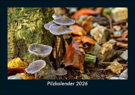 Tobias Becker: Pilzkalender 2026 Fotokalender DIN A5, Kalender