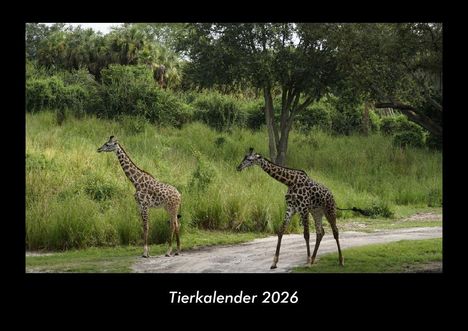 Tobias Becker: Tierkalender 2026 Fotokalender DIN A3, Kalender