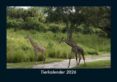 Tobias Becker: Tierkalender 2026 Fotokalender DIN A5, Kalender