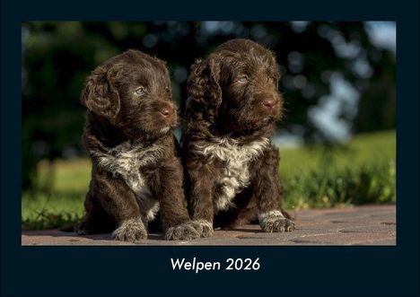 Tobias Becker: Welpen 2026 Fotokalender DIN A4, Kalender