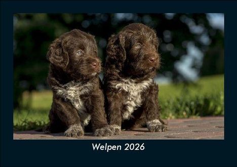Tobias Becker: Welpen 2026 Fotokalender DIN A5, Kalender