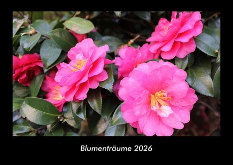 Tobias Becker: Blumenträume 2026 Fotokalender DIN A3, Kalender