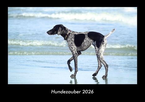 Tobias Becker: Hundezauber 2026 Fotokalender DIN A3, Kalender