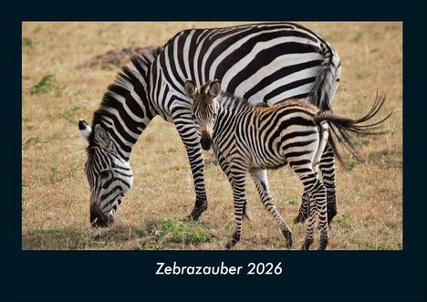 Tobias Becker: Zebrazauber 2026 Fotokalender DIN A4, Kalender
