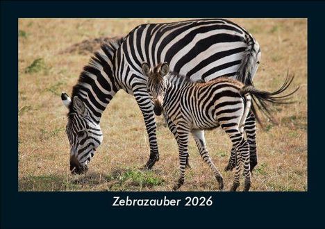 Tobias Becker: Zebrazauber 2026 Fotokalender DIN A5, Kalender