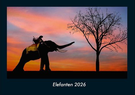Tobias Becker: Elefanten 2026 Fotokalender DIN A4, Kalender