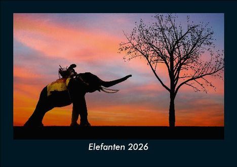 Tobias Becker: Elefanten 2026 Fotokalender DIN A5, Kalender