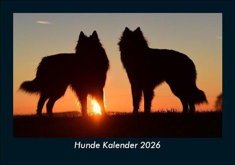 Tobias Becker: Hunde Kalender 2026 Fotokalender DIN A5, Kalender