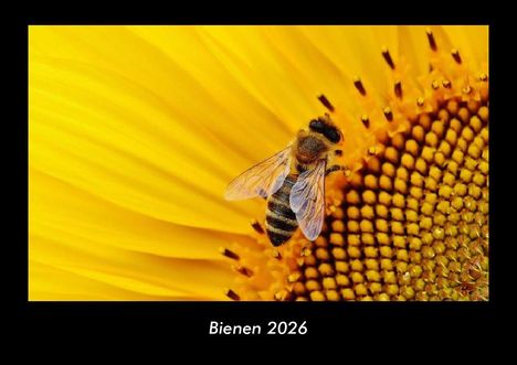 Tobias Becker: Bienen 2026 Fotokalender DIN A3, Kalender