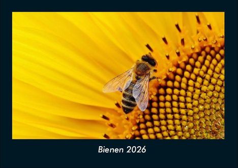 Tobias Becker: Bienen 2026 Fotokalender DIN A4, Kalender