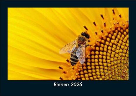 Tobias Becker: Bienen 2026 Fotokalender DIN A5, Kalender