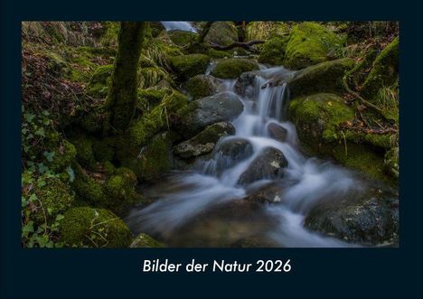 Tobias Becker: Bilder der Natur 2026 Fotokalender DIN A4, Kalender