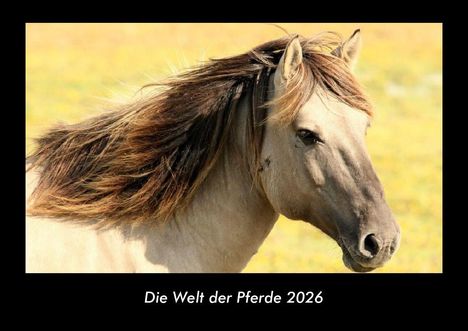 Tobias Becker: Die Welt der Pferde 2026 Fotokalender DIN A3, Kalender