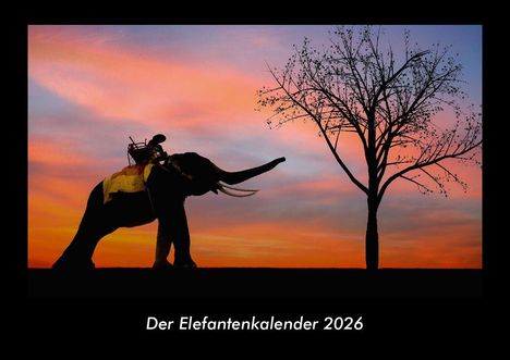 Tobias Becker: Der Elefantenkalender 2026 Fotokalender DIN A3, Kalender