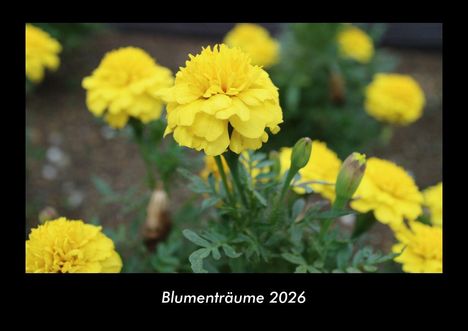 Tobias Becker: Blumenträume 2026 Fotokalender DIN A3, Kalender