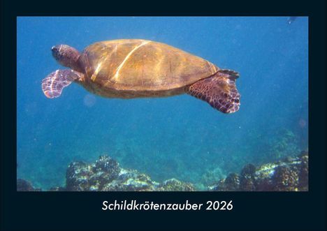 Tobias Becker: Schildkrötenzauber 2026 Fotokalender DIN A4, Kalender
