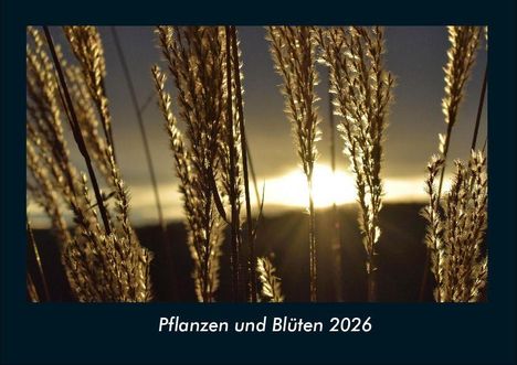 Tobias Becker: Pflanzen und Blüten 2026 Fotokalender DIN A4, Kalender