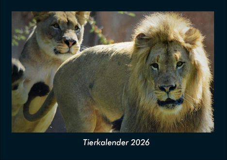 Tobias Becker: Tierkalender 2026 Fotokalender DIN A4, Kalender