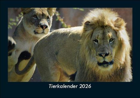 Tobias Becker: Tierkalender 2026 Fotokalender DIN A5, Kalender