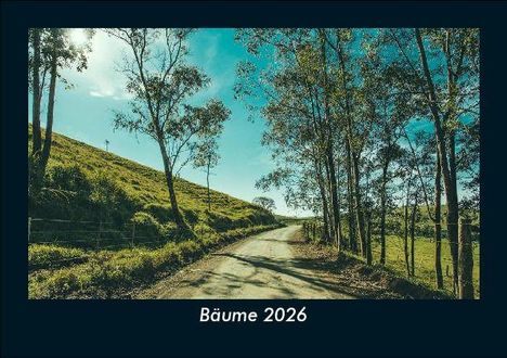 Tobias Becker: Bäume 2026 Fotokalender DIN A5, Kalender
