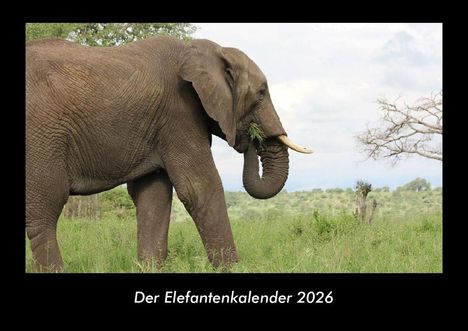 Tobias Becker: Der Elefantenkalender 2026 Fotokalender DIN A3, Kalender