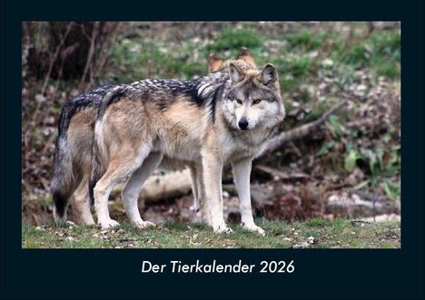 Tobias Becker: Der Tierkalender 2026 Fotokalender DIN A4, Kalender