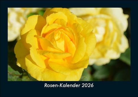 Tobias Becker: Rosen-Kalender 2026 Fotokalender DIN A5, Kalender