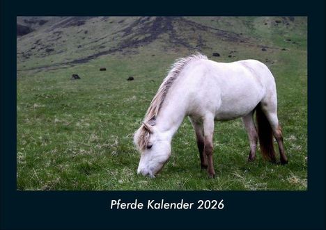 Tobias Becker: Pferde Kalender 2026 Fotokalender DIN A4, Kalender