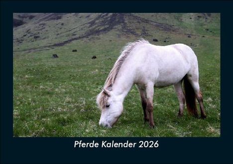 Tobias Becker: Pferde Kalender 2026 Fotokalender DIN A5, Kalender