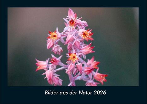 Tobias Becker: Bilder aus der Natur 2026 Fotokalender DIN A4, Kalender