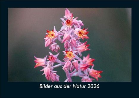 Tobias Becker: Bilder aus der Natur 2026 Fotokalender DIN A5, Kalender