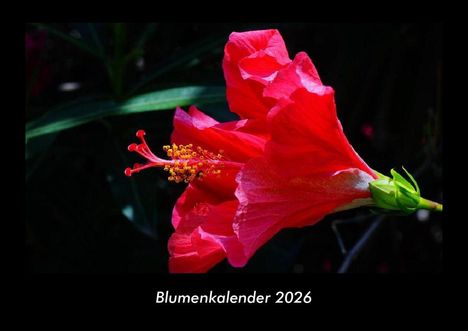 Tobias Becker: Blumenkalender 2026 Fotokalender DIN A3, Kalender