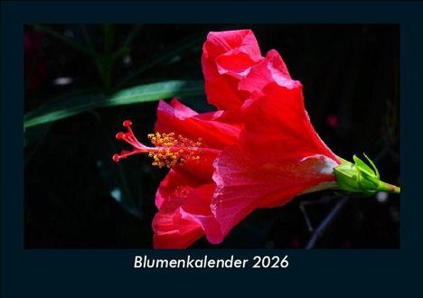 Tobias Becker: Blumenkalender 2026 Fotokalender DIN A5, Kalender