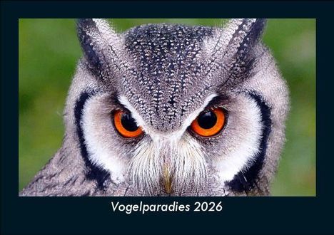 Tobias Becker: Vogelparadies 2026 Fotokalender DIN A5, Kalender