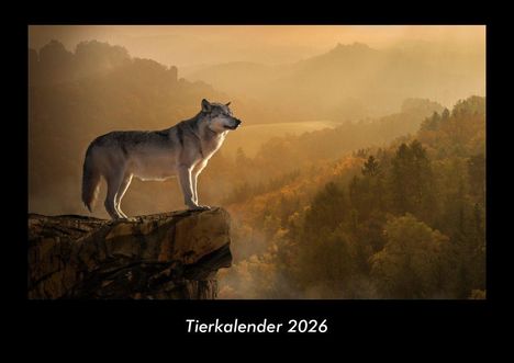 Tobias Becker: Tierkalender 2026 Fotokalender DIN A3, Kalender
