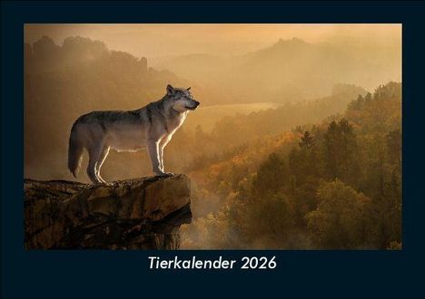 Tobias Becker: Tierkalender 2026 Fotokalender DIN A5, Kalender
