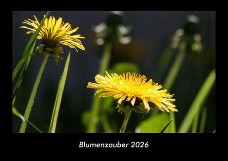 Tobias Becker: Blumenzauber 2026 Fotokalender DIN A3, Kalender