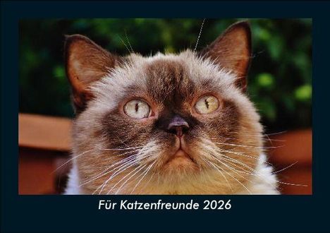 Tobias Becker: Für Katzenfreunde 2026 Fotokalender DIN A5, Kalender