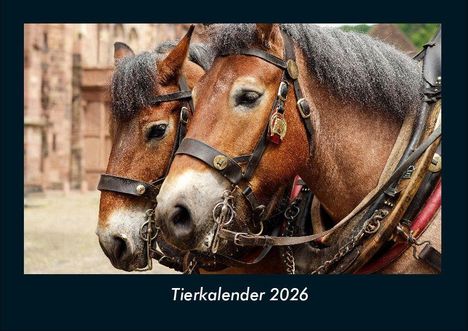 Tobias Becker: Tierkalender 2026 Fotokalender DIN A4, Kalender