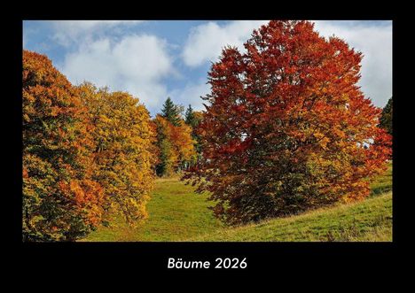 Tobias Becker: Bäume 2026 Fotokalender DIN A3, Kalender
