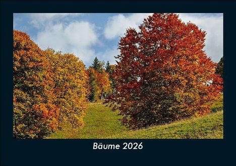 Tobias Becker: Bäume 2026 Fotokalender DIN A5, Kalender