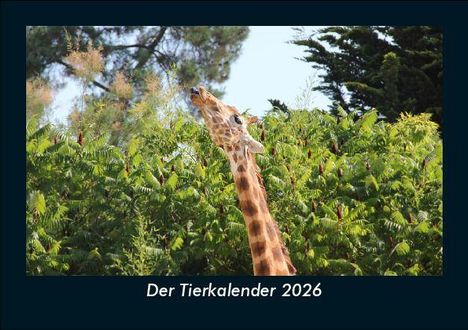 Tobias Becker: Der Tierkalender 2026 Fotokalender DIN A5, Kalender