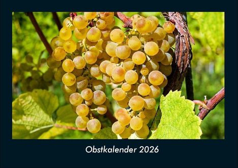 Tobias Becker: Obstkalender 2026 Fotokalender DIN A4, Kalender
